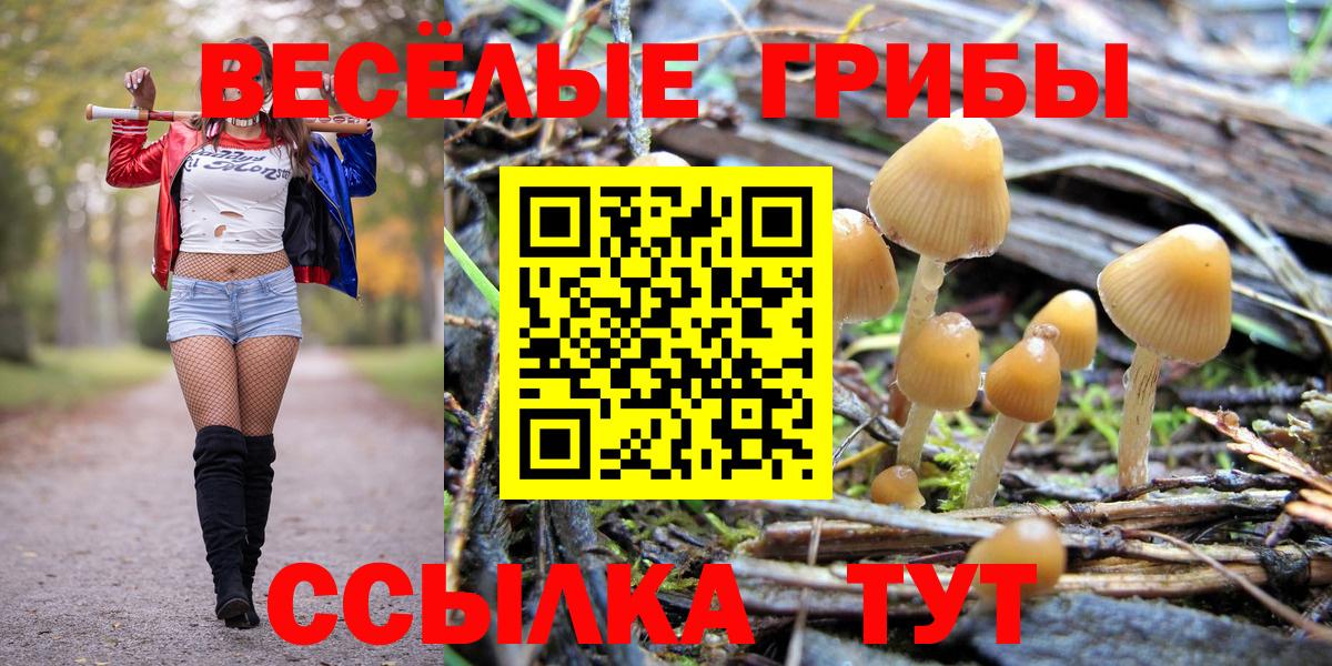 Орск  Галлюциногенные грибы Magic Shrooms  цены наркотик  Вход с VPN 