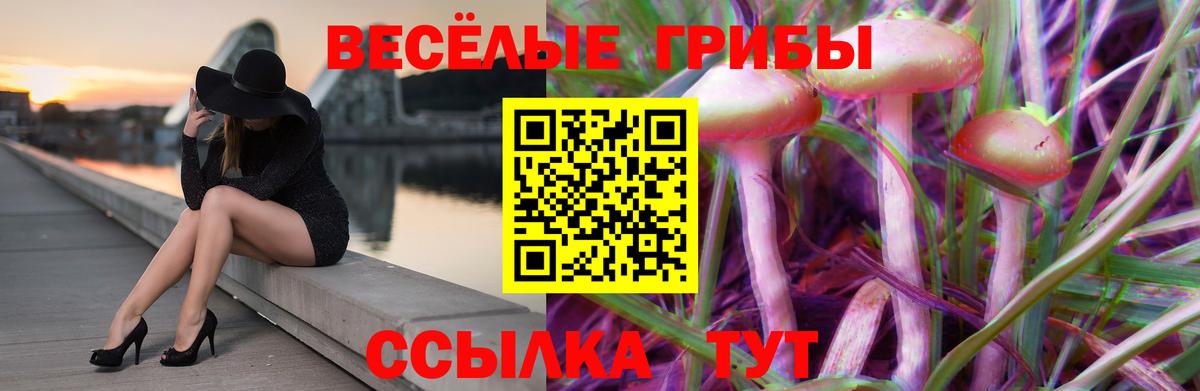 Псилоцибиновые грибы MAGIC MUSHROOMS Орск